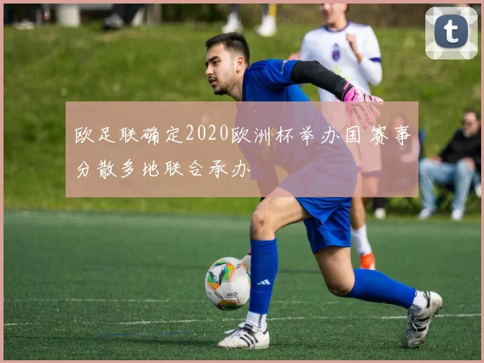 欧足联确定2020欧洲杯举办国 赛事分散多地联合承办